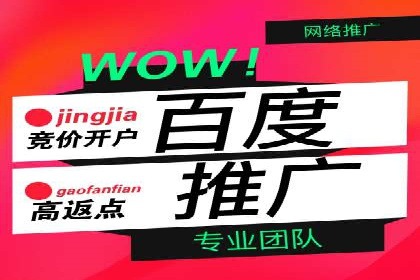 电商行业SEM运营的挑战与成功案例
